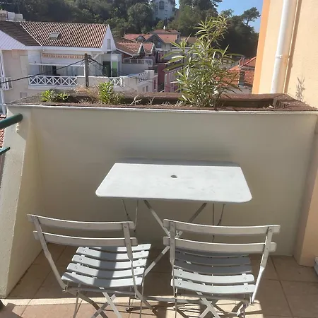 - T3 Avec Terrasse Et Parking - Fr-1-319-5